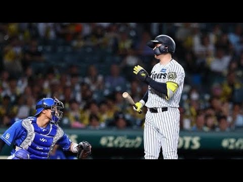 「甲子園が凍りついた瞬間❗ 森下翔太と白井球審の緊迫シーン🔥」