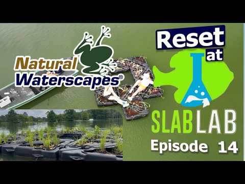 Building Habitat for Trophy Bluegill | Slab Lab Episode 14