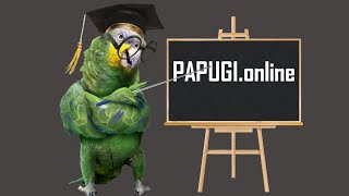 Visit our website PARROTS.online