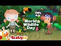 We Love Animals Celebrate World Wildlife Day With BabyTV       BabyTV