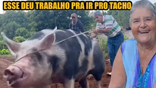 O CAPADÃO VAI CONHECER A TACHO