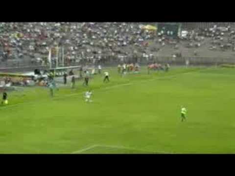 ipatinga 1 x 2 palmeiras