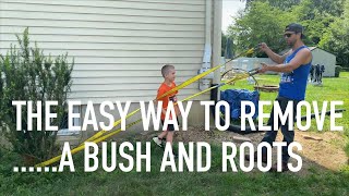 Easiest way to remove a bush with roots: 10 Minutes Max | Truck vs Bush