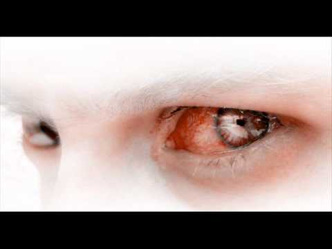 pxxpmatz big brother