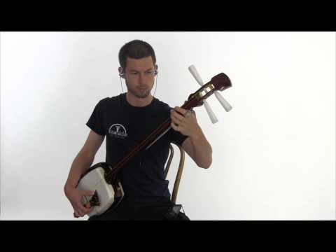 The Sparrow and the Gentle Dove on Shamisen