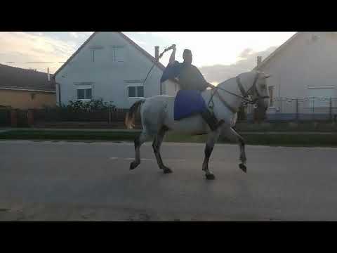 újlengyel szüreti felvonulás    2021 október 9