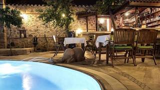 La Paloma Hotel, Antalya, Türkiye | Travel With Jhanvi
