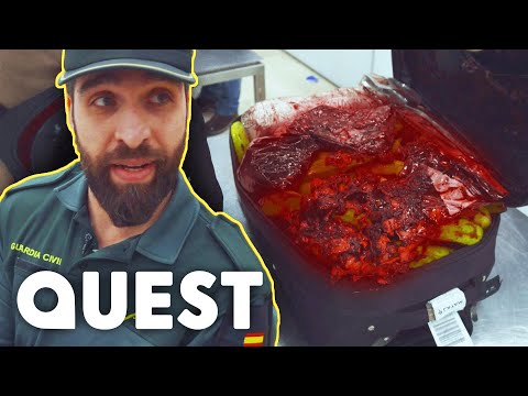 Passenger Caught With A Bleeding Suitcase | Border Control: Europe