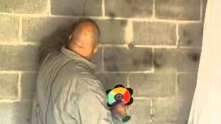 ProVector Mosquito Flower Setup: to help reduce malaria and dengue.wmv