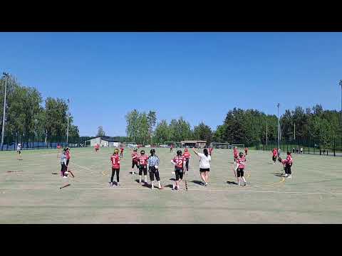 D-tytöt kilpasarja IPV-JoMa