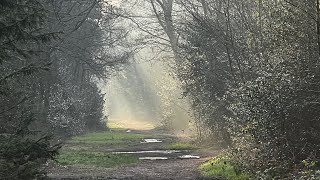 Where Attention Goes Energy Flows