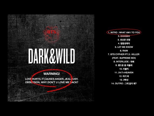 BTS - Dark&wild