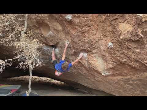 Dirty Martini V9 (12/22/2020)