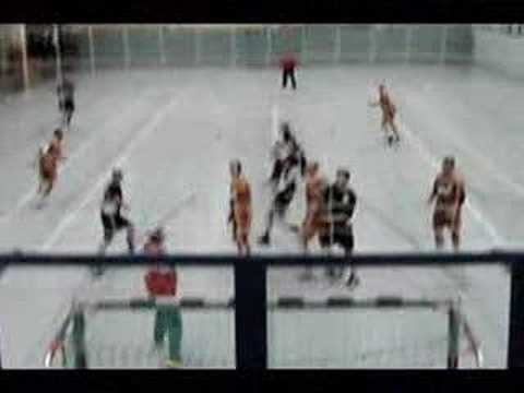 Tor des Tages (12.Spieltag)