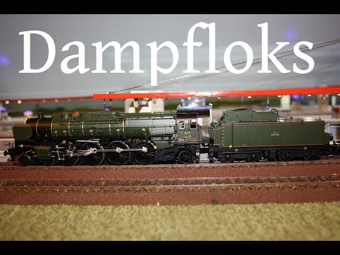 Dampfloks in Schönsilvia