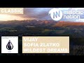 Vijay & Sofia Zlatko feat. Tania Zygar - Wildest Dreams