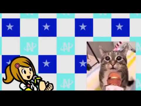 wuba duba is that true?  *cat*