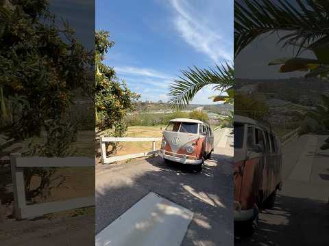 Thumbnail for 1959 VW Westfalia Camper Bus on the Move by Bus