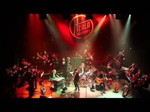 Hekla Stålstrenga + Kammerorkesteret=Sant