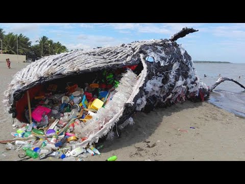 , title : 'ظهور هذا الحوت على الشاطئ صدم العالم أجمع'