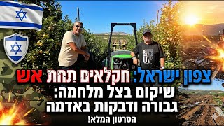 על חקלאות, תקומה ושיקום הצפון - הסיפור של משפחת וינשטיין