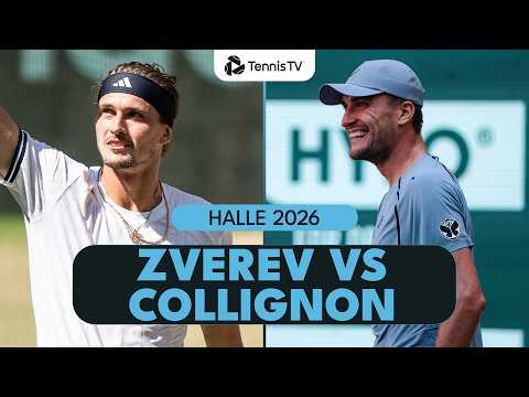 Alexander Zverev Takes On Raphael Collignon In Halle Quarter-Finals 🤩 | Halle 2026 Highlights