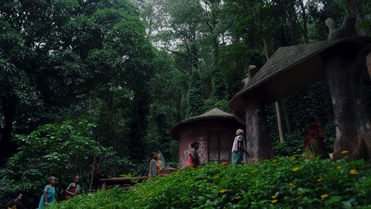 Araku Coffee — Documentaries project by MadKing Studios