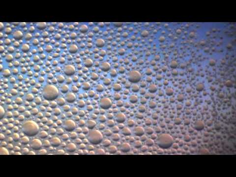 DIY Macro Lens on the Cheap! - Smarter Every Day 3