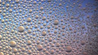 DIY Macro Lens on the Cheap! - Smarter Every Day 3