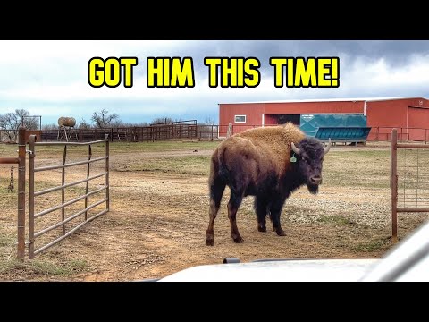 Hoss Did It Again! Just What We Needed….BLUETTI AC300 + B300