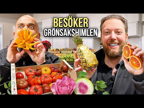 BESÖKER GRÖNSAKSHIMLEN | DRÖMMEN OM EN RESTAURANG I STOCKHOLM DEL 3 | ROY NADER