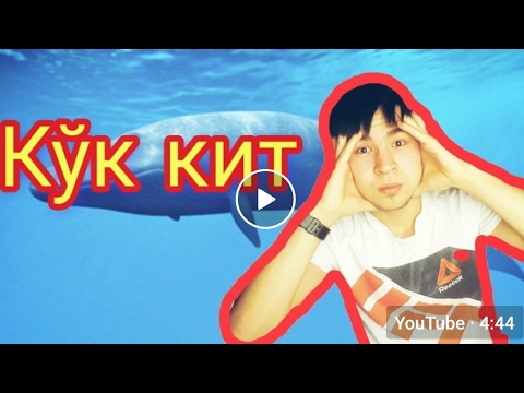 Синий кит Тихи дом | Мухим ХАБАР!! Кўк кит нима бу?НА УЗБЕКСКОМ