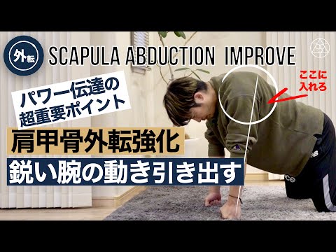 肩甲骨を安定させる前鋸筋ルーティン プレビュー