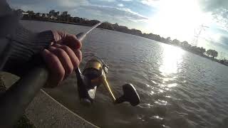 Big Stonker Trout Fishing 2023 Fish No 9