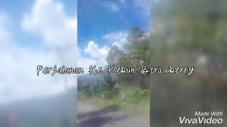 preview picture of video 'Perjalanan Ke kebun strawberry, Malimbong, Ratte, Tana Toraja'