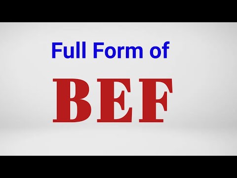 Full form of BEF / BEF meaning