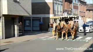 preview picture of video 'Koninklijke St.Hubertus Viering Londerzeel'
