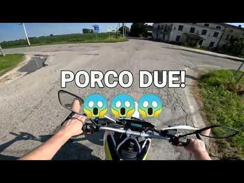 PORCO DUE! 😱😱😱