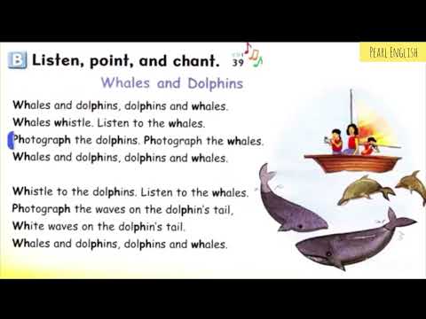 WHALES AND DOLPHINS 🐬 (Let's go 4 Unit 2)