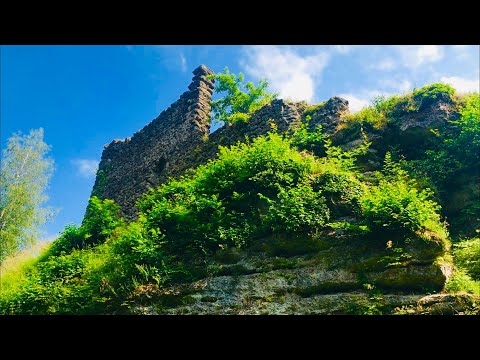 Exploring A Swiss Forest **Found Abandoned Castle** | Daily Vlog #13