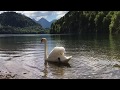 Classical Indian Music Veena By Music For Deep Meditation Lake Alpsee Bavaria Germany