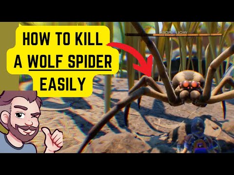 How Do You Kill A Wolf Spider In Grounded