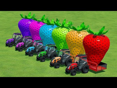LOAD & TRANSPORT GIANT STRAWBERRY WITH COLORED TRACTORS - Farming Simulator 22