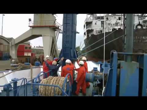 Born To Design - SKY SAILS