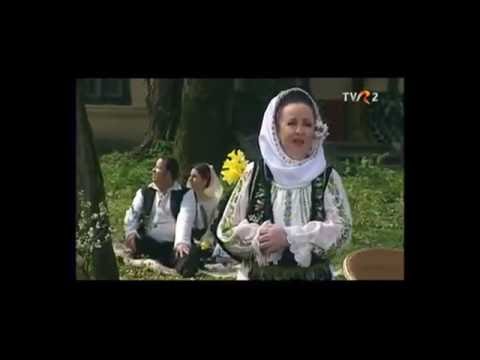 Floarea Calota Mai, baiete, baietele - Arhiva