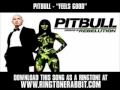 Pitbull - "Feels Good" [ New Music Video + Lyrics ...