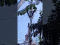 Hero Of NORECO 2 Thank You For Fixing The Power Line Guys You Re Work Not Easy Much Thank U