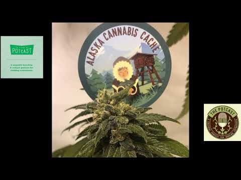 Episode 68 ft Heime Cheeba of Alaskan Cannabis Cache - The Pot Cast - 07/06/22