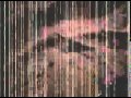 Killwhitneydead - you smell excited.mpg