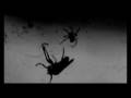 Leviathan - History of Rape